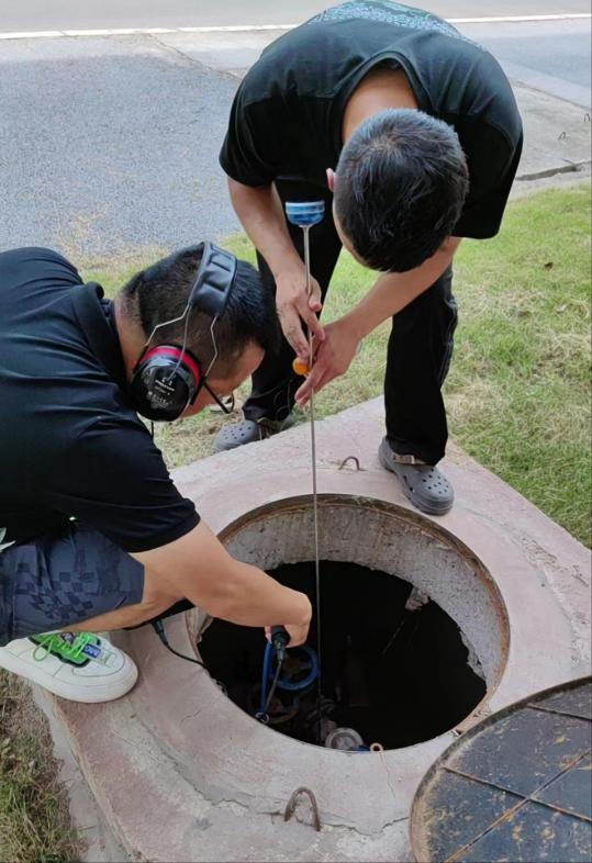 DB试玩